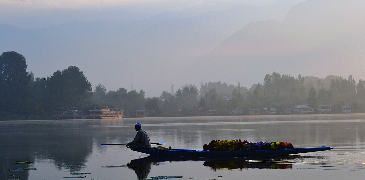 kashmir flower man